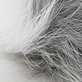 WMNS FUR EARMUFF CAP